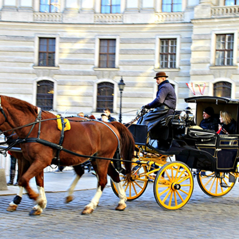 جولات الأحصنة في شوارع فيينا