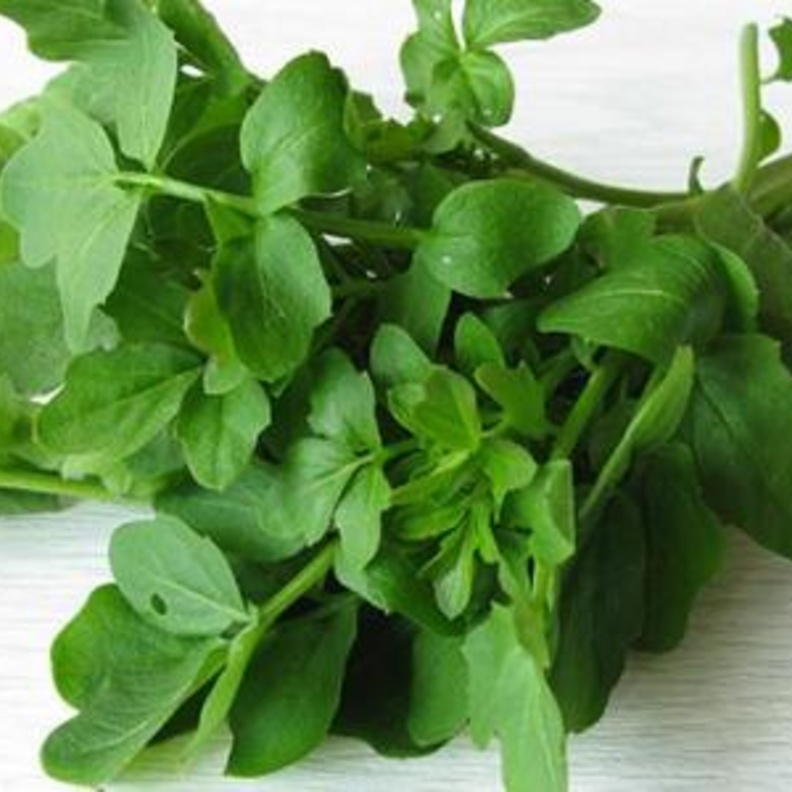 أغلى حزمة جرجير على الإطلاق 