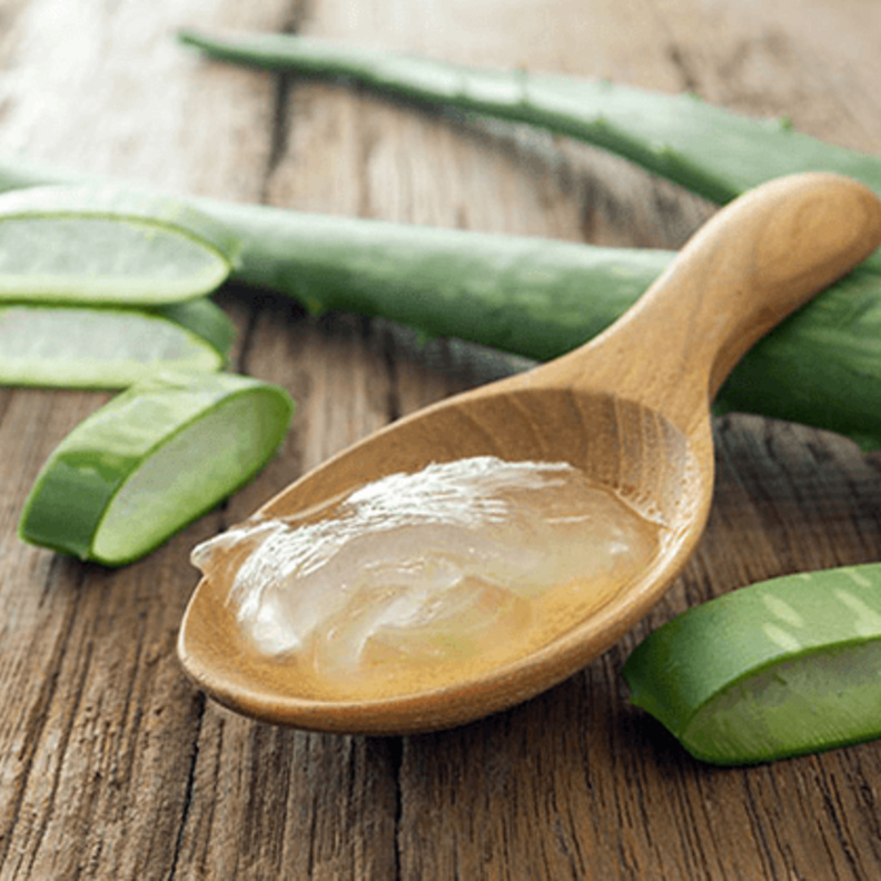 فوائد مرهم الصبار لتعقيم الجروح