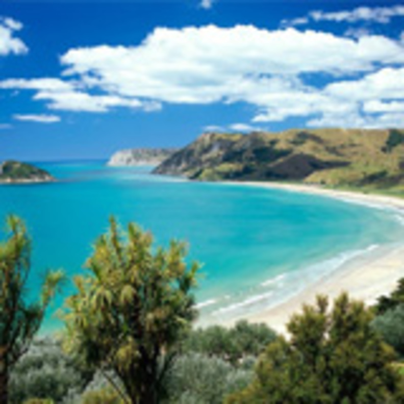  نيوزيلندا ... طبيعة خضراء ساحرة 