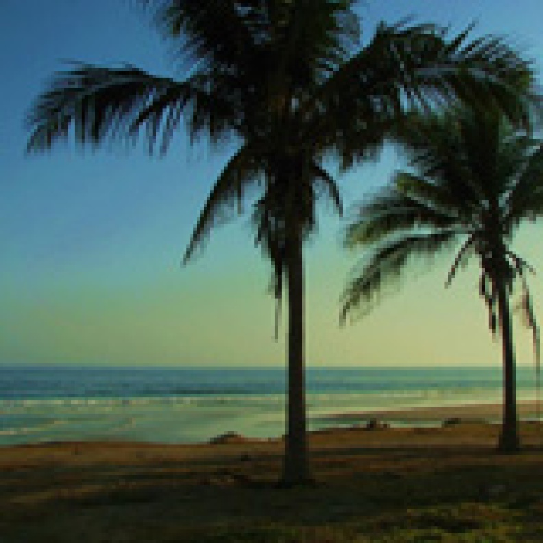 ولاية ضلكوت العمانية.. الجبال الخضراء تعانق زرقة البحر