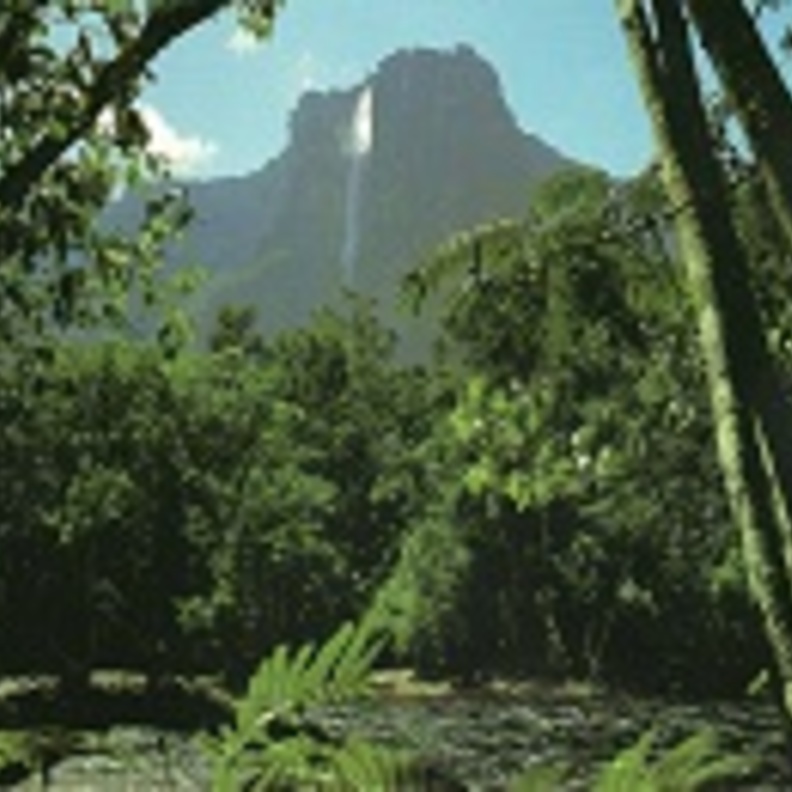 جزيرة بوطينة الاماراتية نحو العجائب السبع