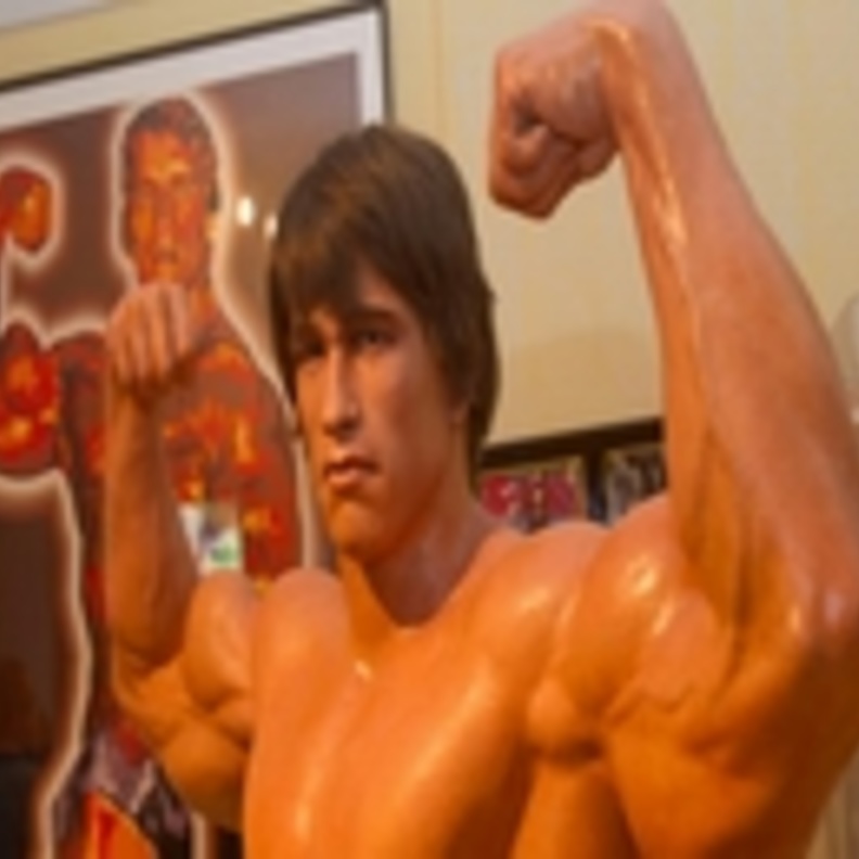 النمسا تفتتح متحفا خاصا لأرنولد شوارزنجر