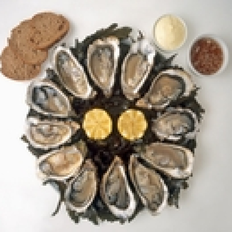 خبز الطحالب وسيلة جديدة لإنقاص الوزن