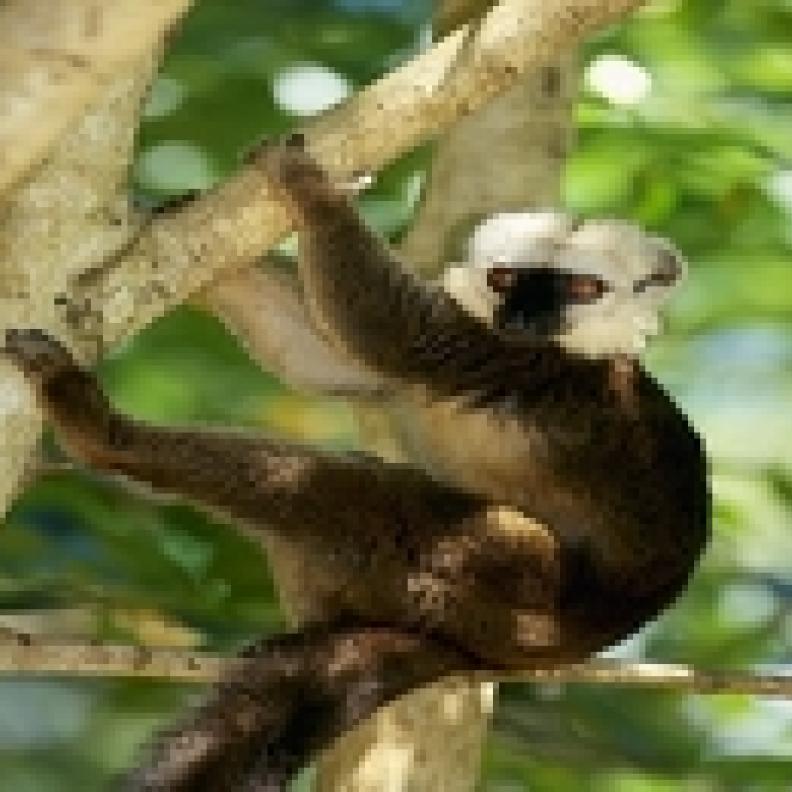 مدغشقر.. طبيعة غنية وهدوء لا يوصف