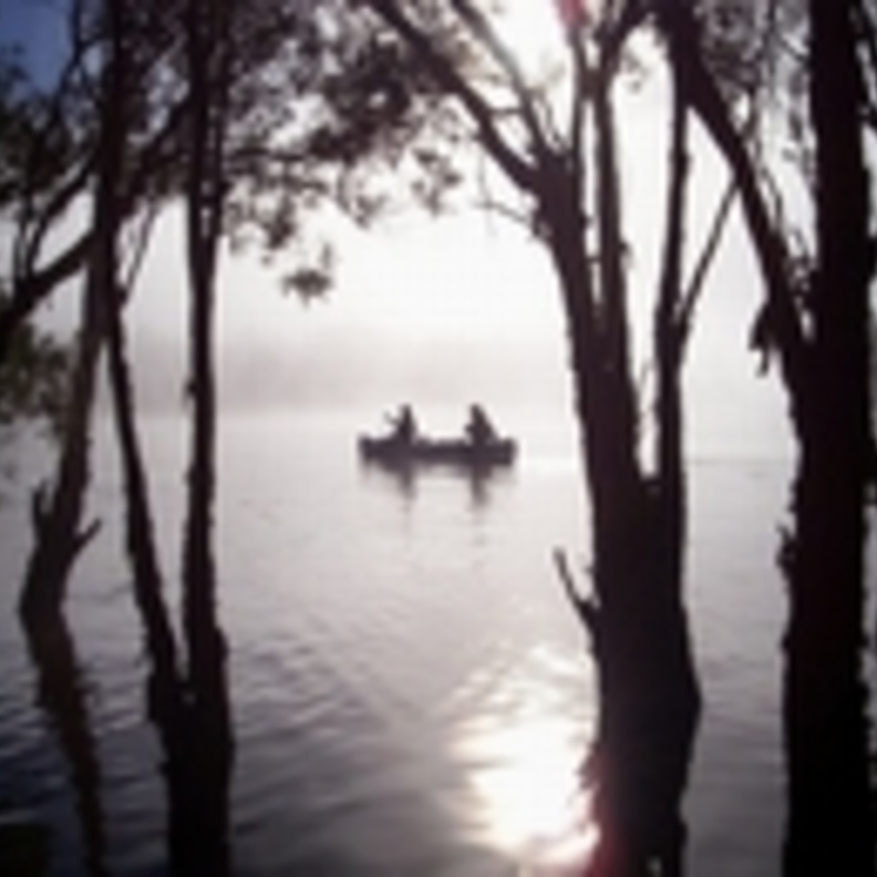 أفضل الأماكن الساحلية بسيدني