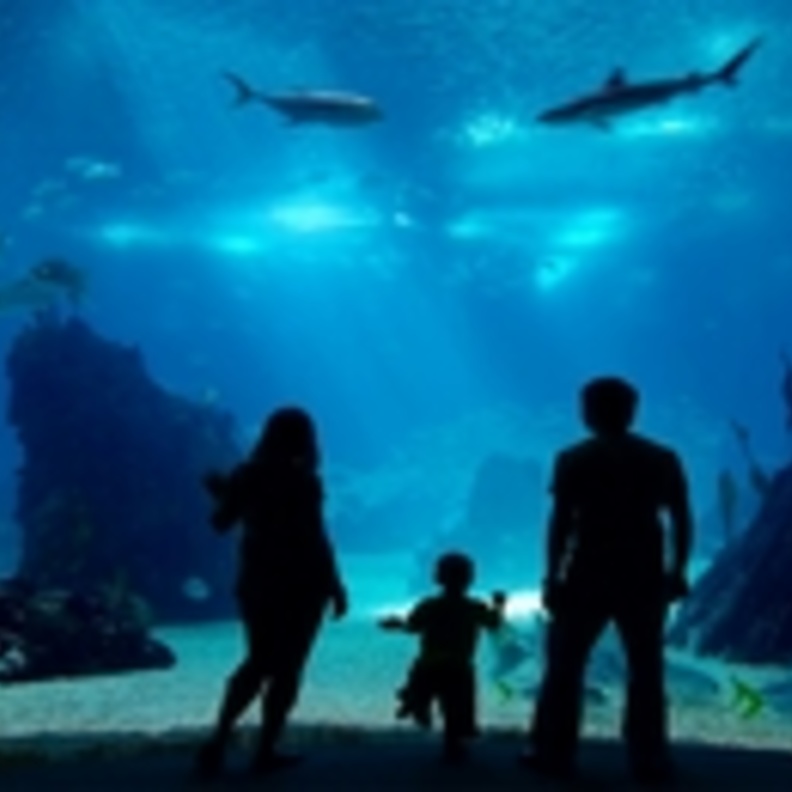 جزيرة سيلت قبلة السياح في ألمانيا