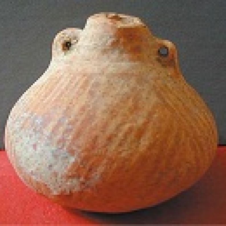 اكتشاف أدوات فخارية عمرها 4 آلاف سنة في الصين