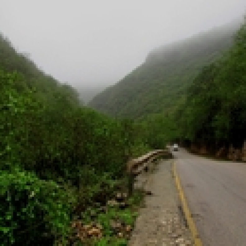 ارتفاع عدد زوار خريف صلالة بنسبة 25%