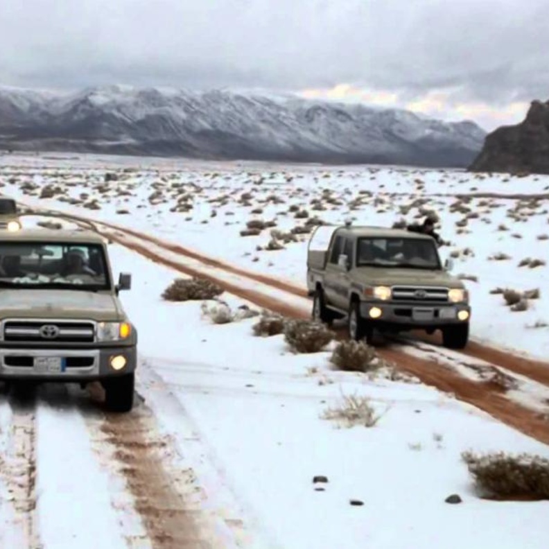 ثلوج الشمال 