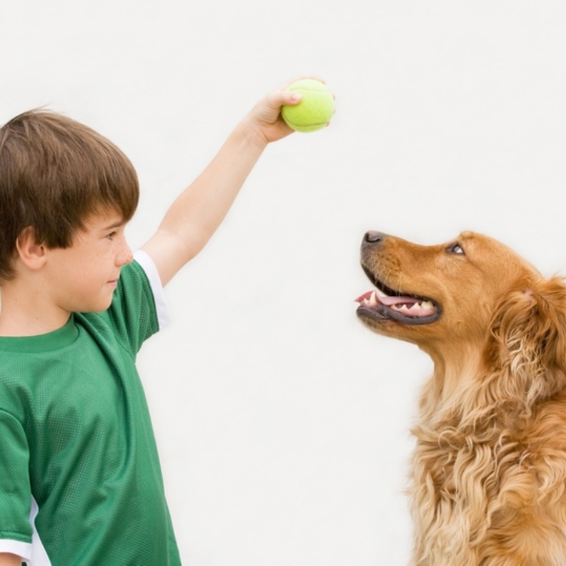 يستخدم البعض الكلاب للعلاج النفسي للأطفال