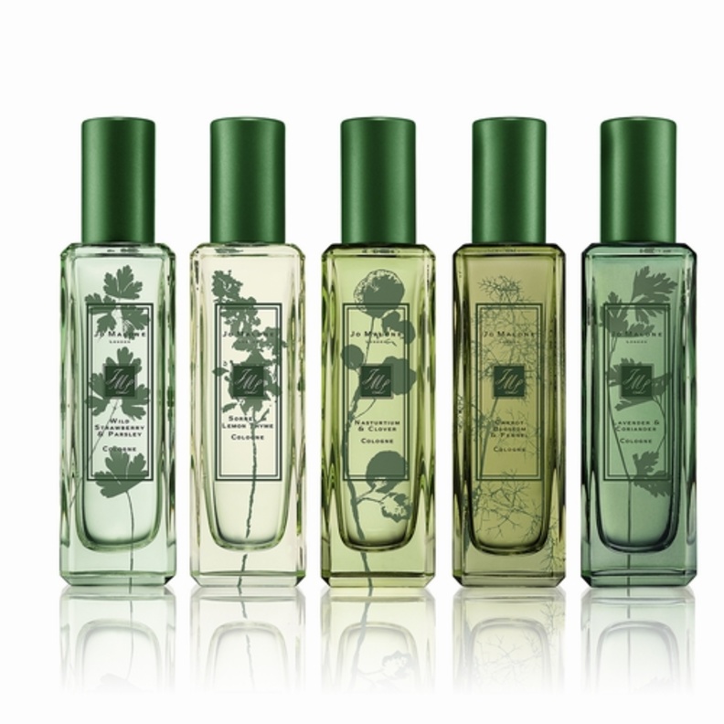 The Herb Garden Collection