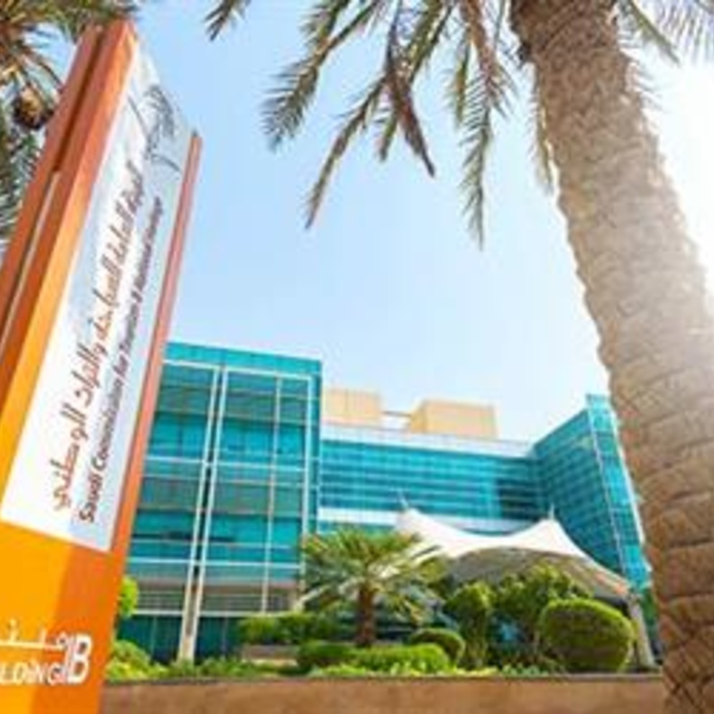 تعتبر السياحة رافدا رئيسيا من روافد الاقتصاد الوطني.