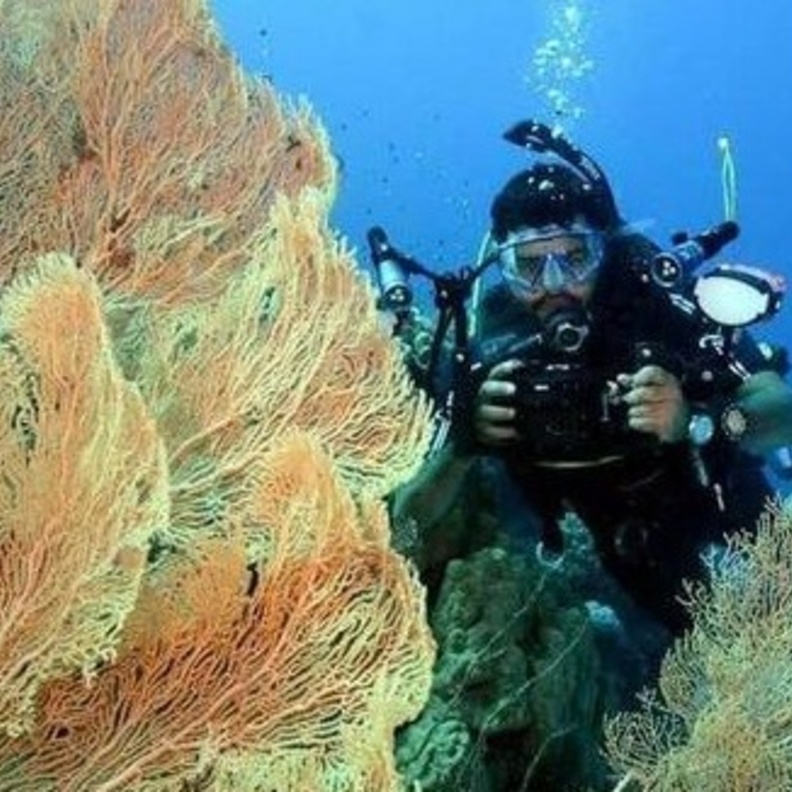 الغواص السعودي