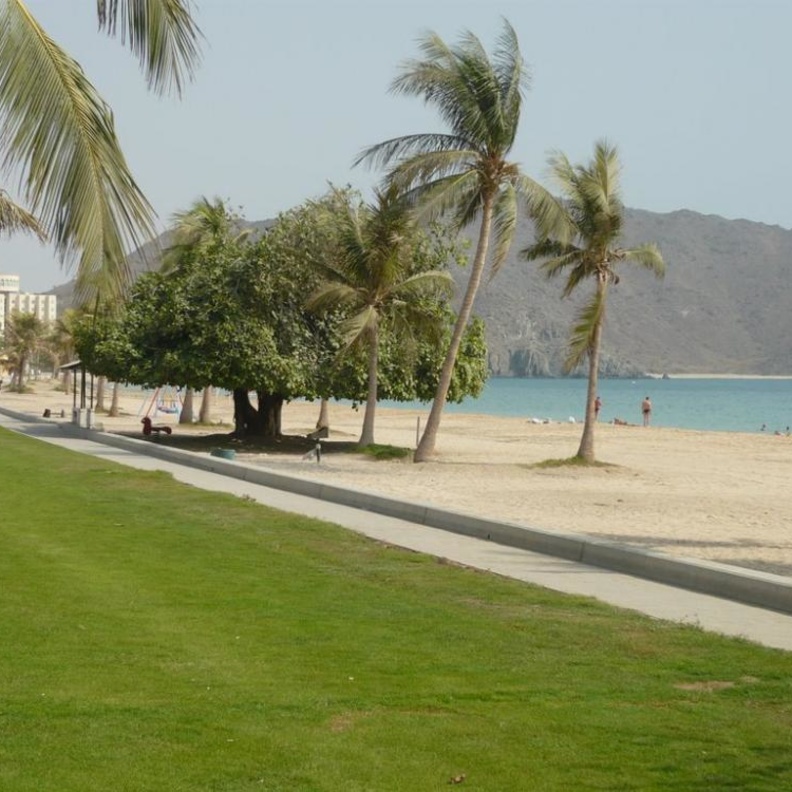 نظرة على مهرجان الشواطئ الأول في مدينة خورفكان