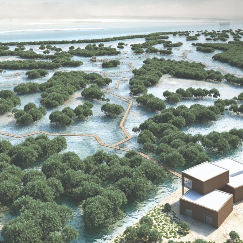 افتتاح مشروع "ممشى القرم" في جزيرة الجبيل بأبوظبي