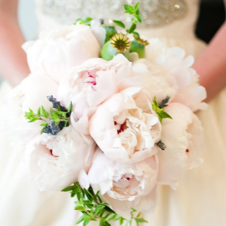 ترمز زهرة الفاوانيا الى الفخامة والرفاهية والازدهار