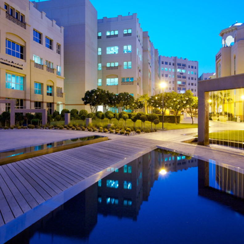 مدينة دبي الأكاديمية العالمية