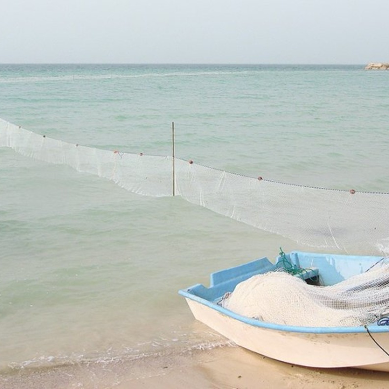 استبدال اسم "منطقة الضبعية" في ابوظبي إلى اسم "النوف"