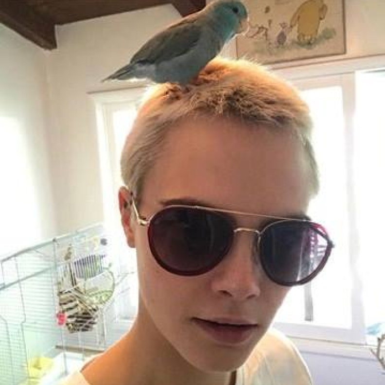 سيلفي للنجمة كارا ديليفينغ مع الببغاء الصغير الخاص بها