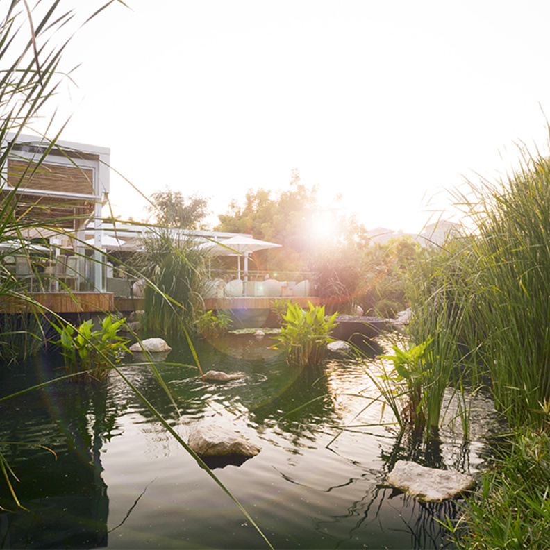 أفضل أماكن فطور الصباح مع إطلالات خلابة في دبي