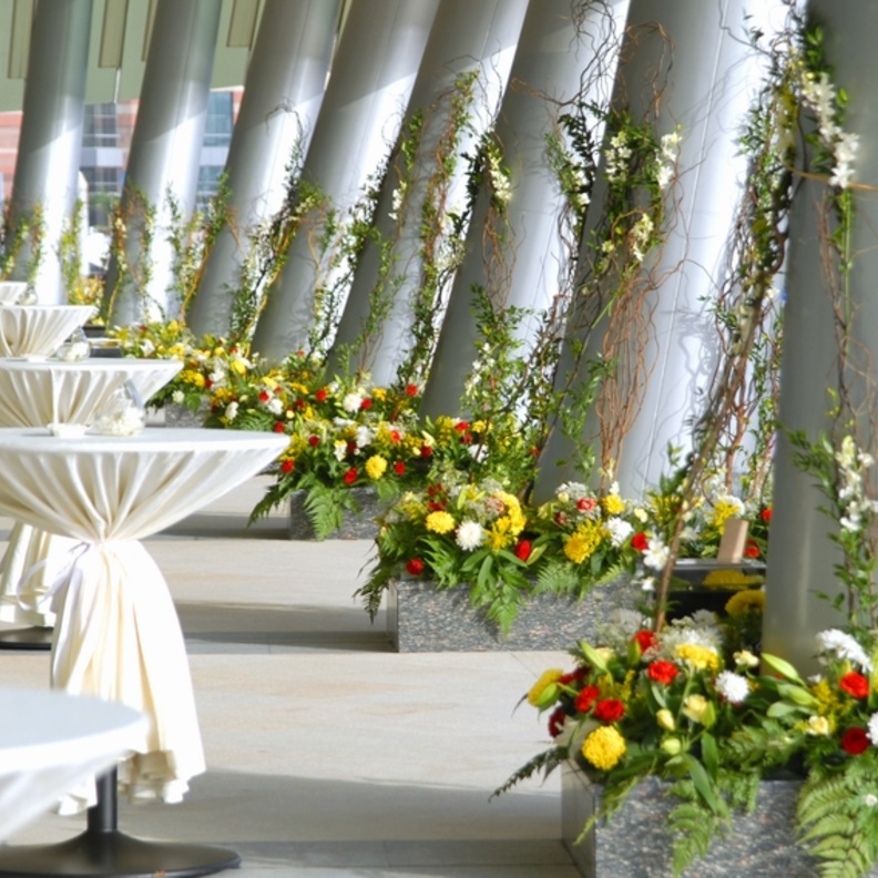 تجهيزات الزفاف الخارجي