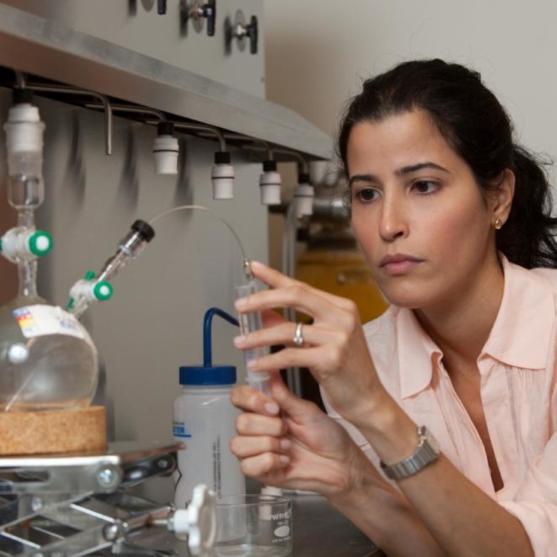 الدكتورة غادة المطيري 