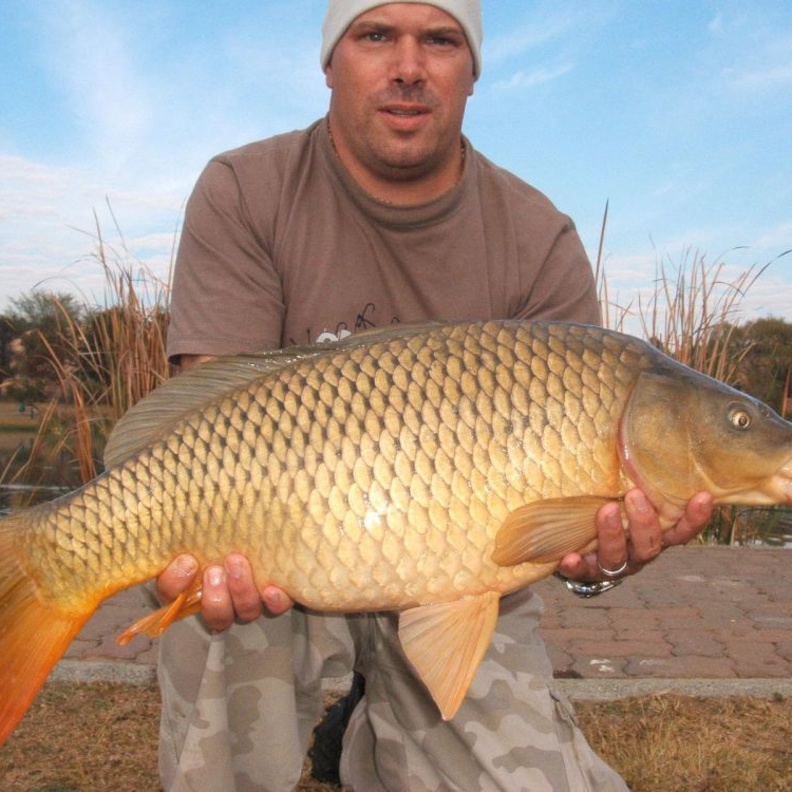 سمك الكارب هواية عالمية لتربيتها 