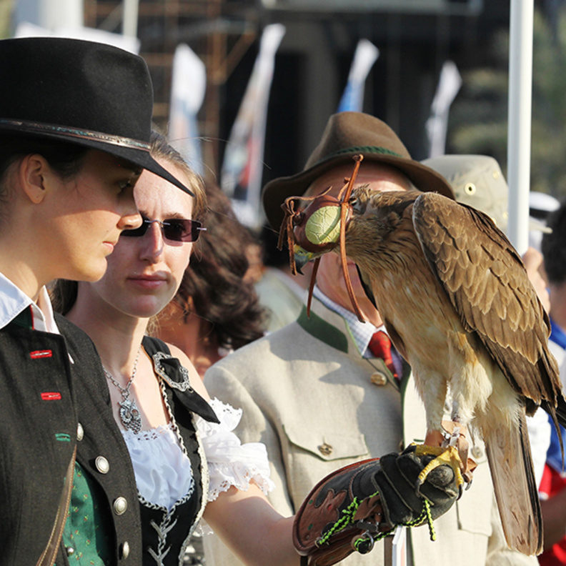 مهرجان الصداقة الدولي الرابع للبيزرة بأبوظبي