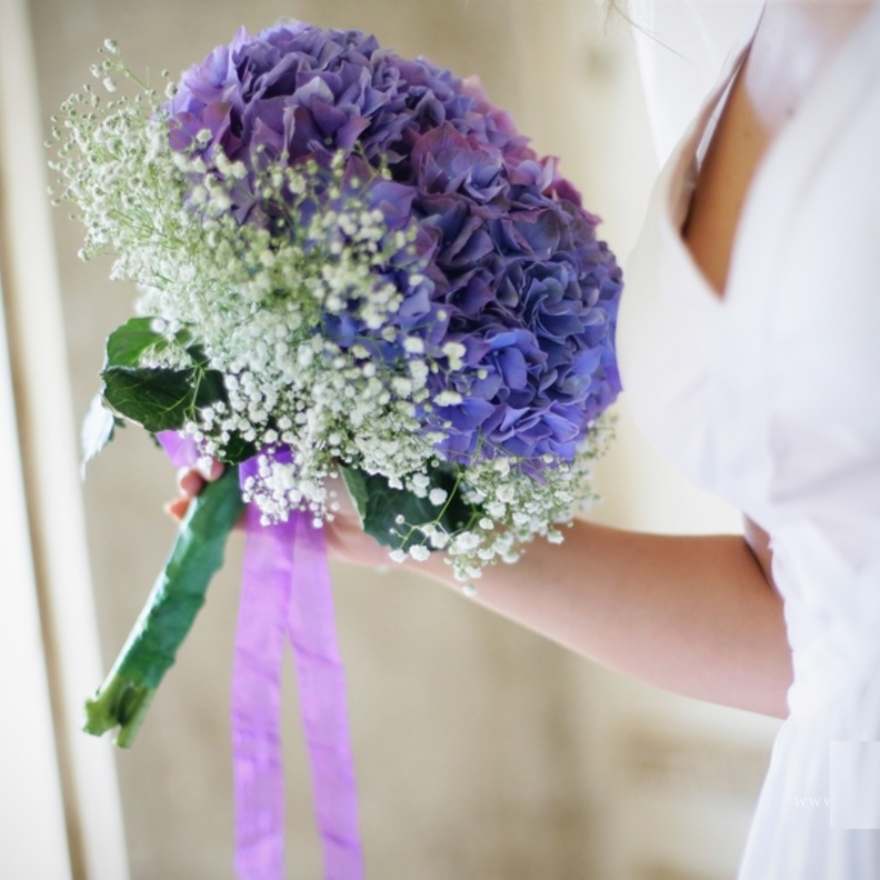 نعومة الباقة البنفسجية