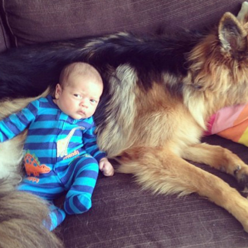 نصائح للام قبل اختيار حيوان اليف لطفلك