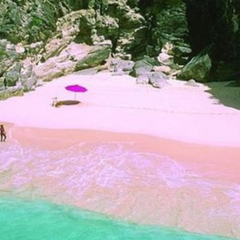 الشاطئ الزهري في هاربور