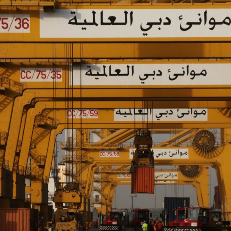 الجسر الهندي الإماراتي .. مبادرة رائدة لجذب التجارة والاستثمارات الهندية إلى ميناء جبل علي