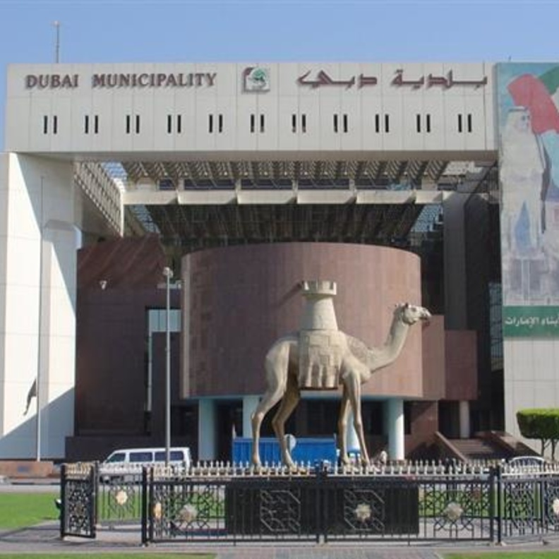 بلدية دبي تبدأ برنامج توطين الوظائف الميدانية