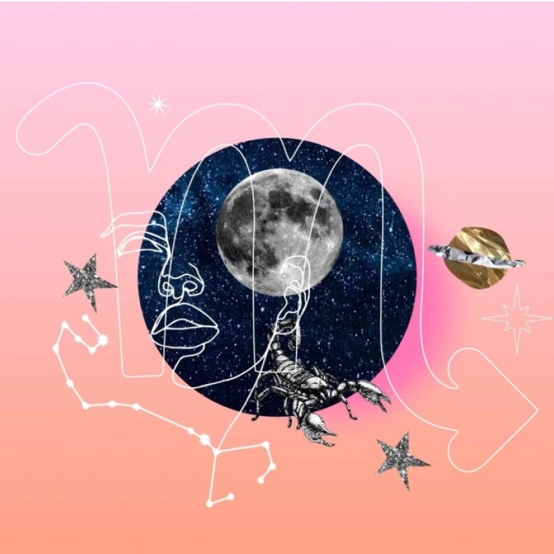 العقرب سيد الحدس والمتربع على عرش العزيمة التي لا تلين