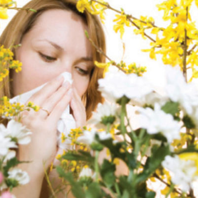 الحساسية الموسمية