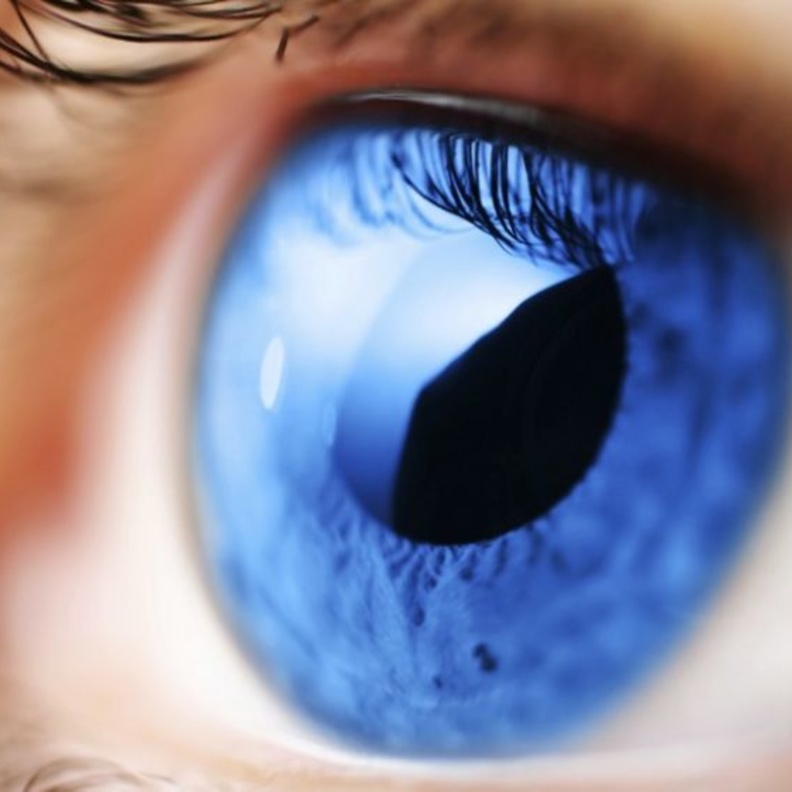 الجلوكوما هو السبب الثاني للعمى في العالم