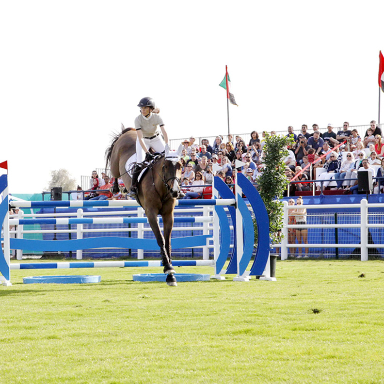 دبي تحتضن أول سباق قفز حواجز للخيول في الشرق الأوسط
