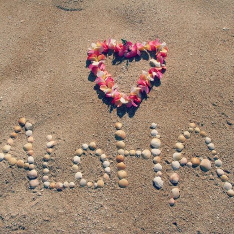 مهرجان ألوها أحد أكثر المهرجانات شعبية في العاصمة أبوظبي