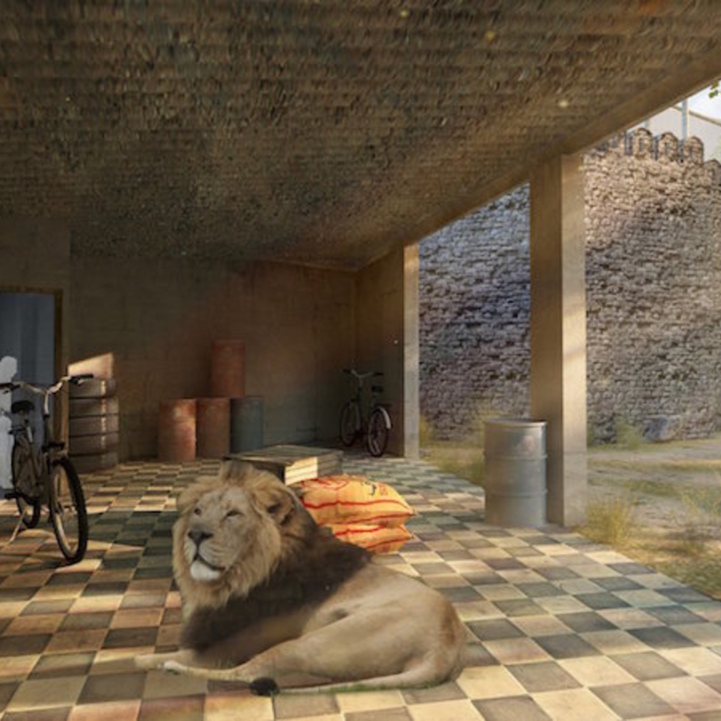 room with a zoo .. تجربة لا مثيل لها في حديقة حيوان لندن