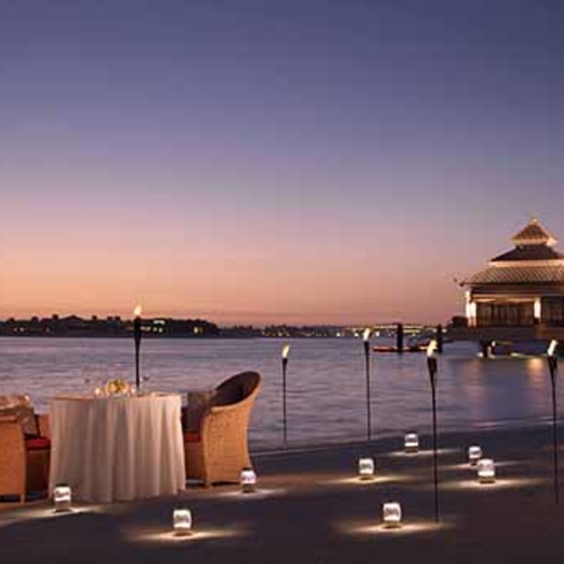 عشاء خاص مصمم بأجواء الطبيعة نكهات من المحيط