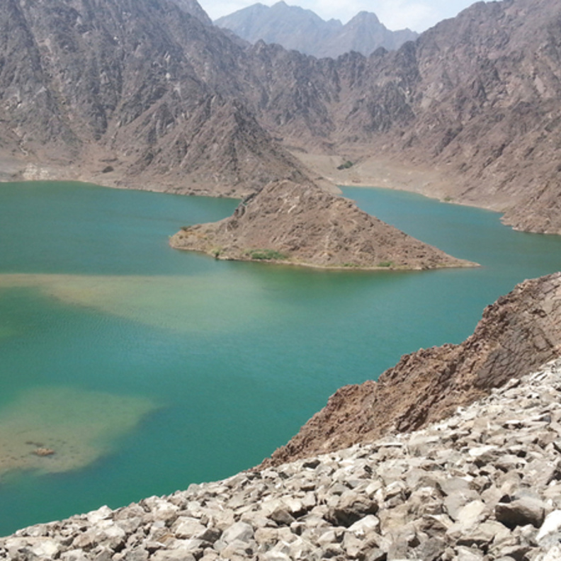 بلدية دبي تحتفل باليوم العالمي للأراضي الرطبة بمجموعة من الفعاليات