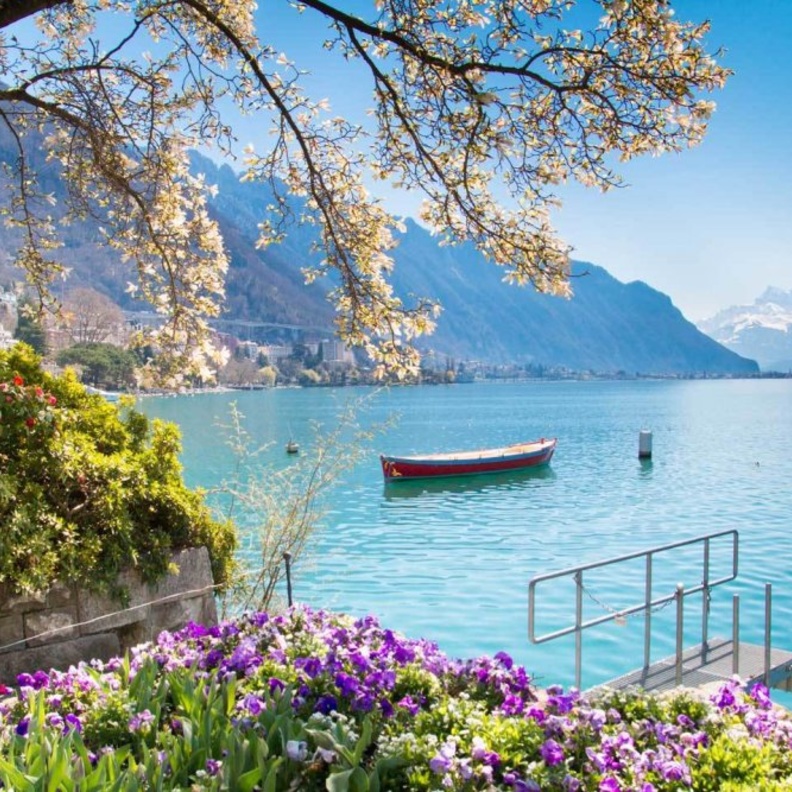 عطلة لا تقاوم في سويسرا