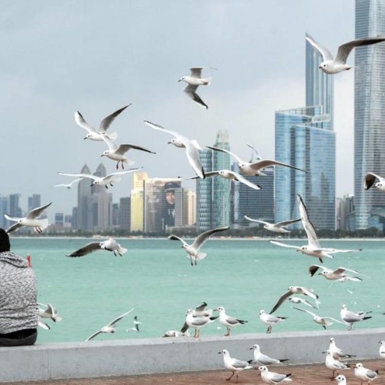 اطلاق منصة إلكترونية وطنية لرصد جودة الهواء في الإمارات