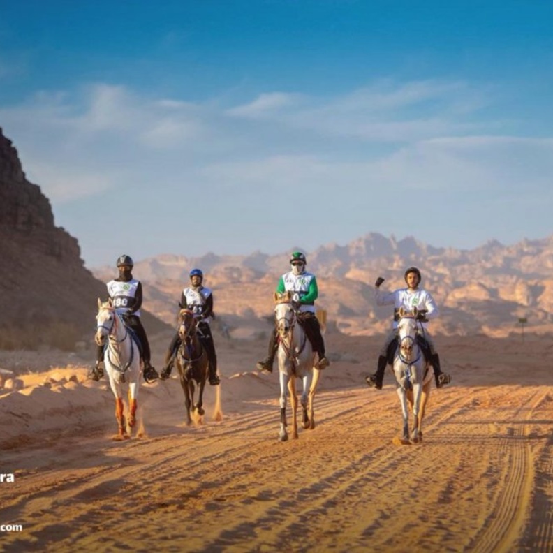 انطلاق كأس خادم الحرمين الشريفين لسباق القدرة والتحمل 2020 في 1 فبراير المقبل