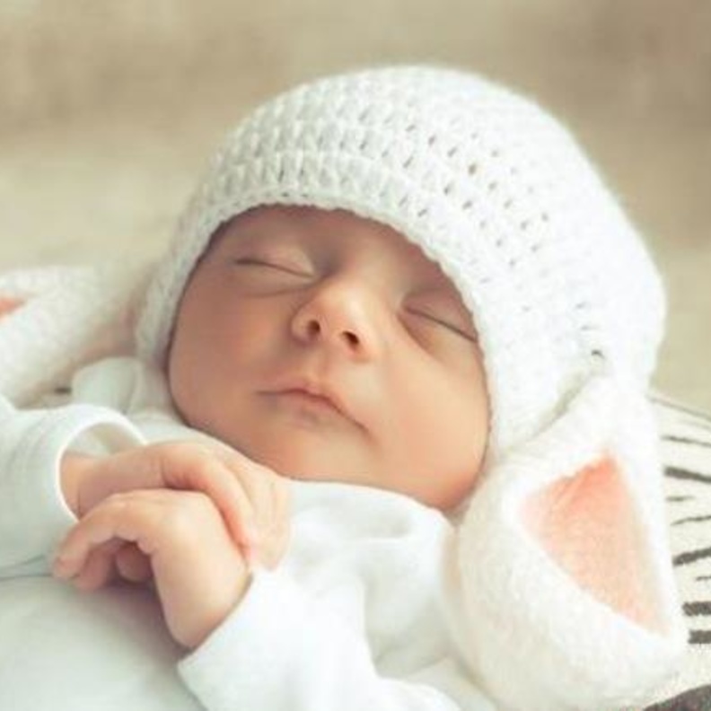 المولود الجديد 