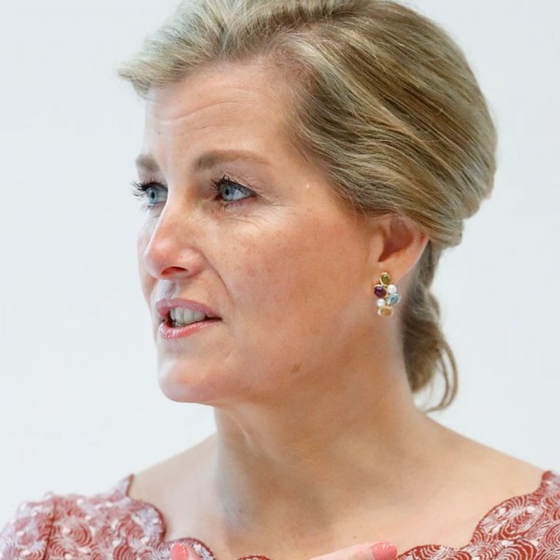 صوفي كونتيسة وسكس تدعم المؤسسات التي ترعاها برسائل متواصلة