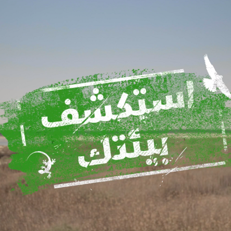 استكشف بيئتك .. سلسلة وثائقية لتسليط الضوء على المحميات الطبيعية في الإمارات