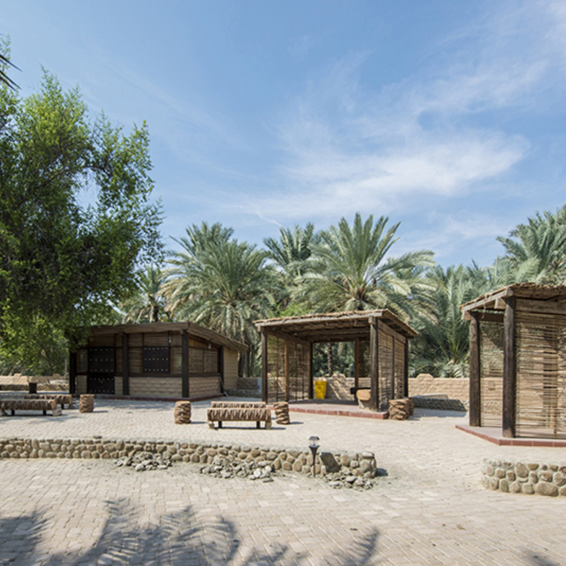 واحة العين... أول موقع إماراتي مدرج على قائمة اليونسكو للتراث العالمي