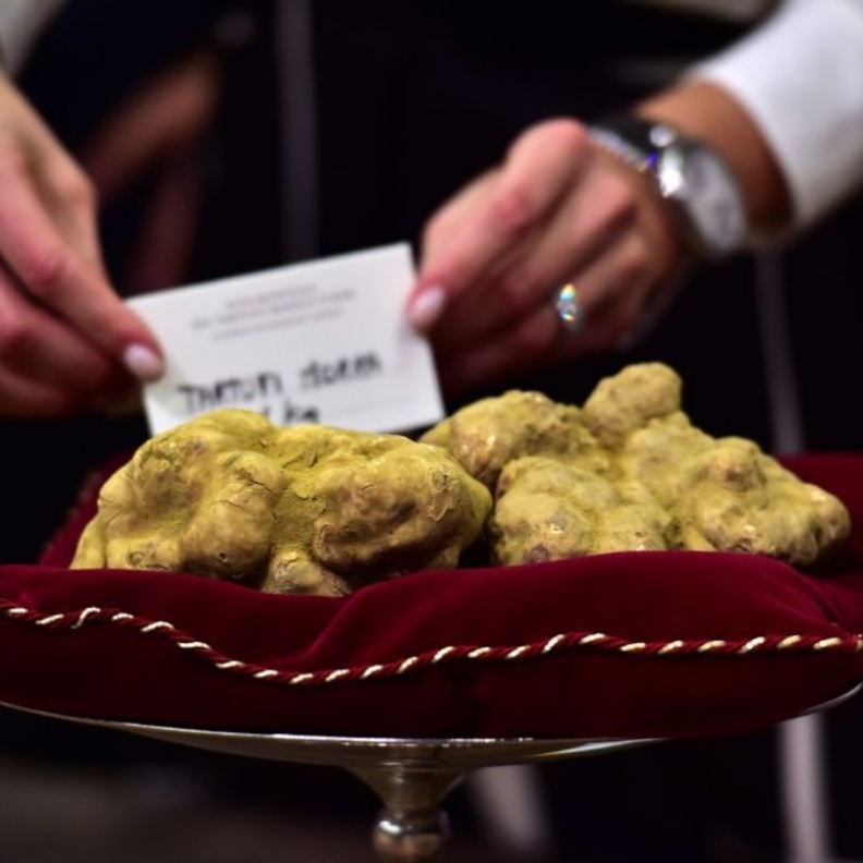 الفقع الثمرة الأغلى على الإطلاق